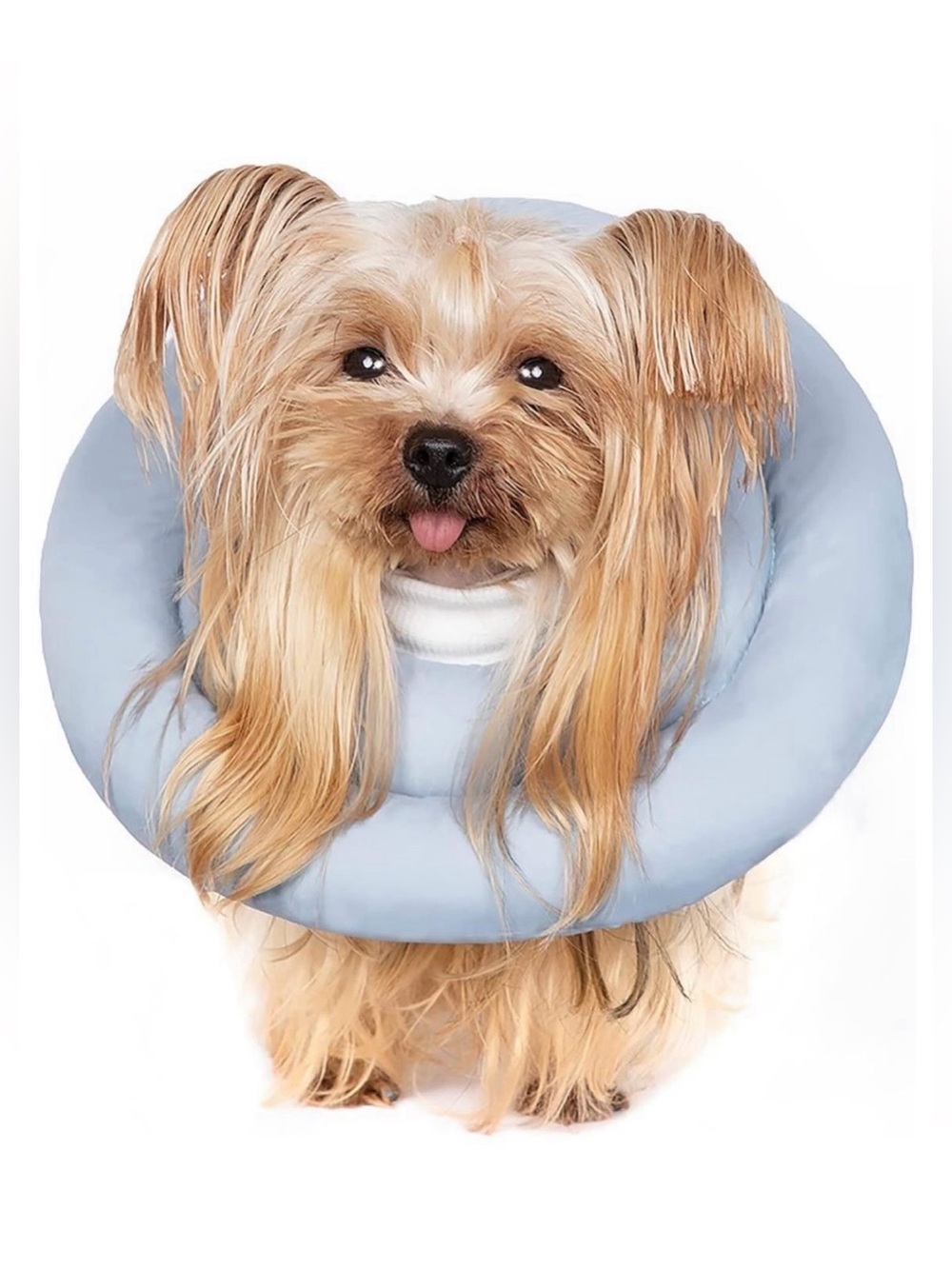 Gagabody Dog Cones for Small Dogs, Comfortable Adjustable Soft Dog Cone Alternat